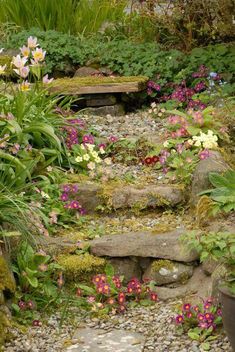 the garden is full of flowers, rocks and moss growing on the side of it