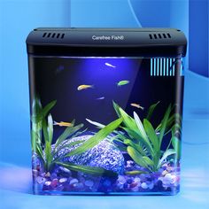 an aquarium with fish and plants in it