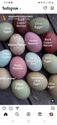 an image of eggs with different names on them