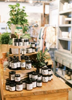 many jars are stacked on top of each other in front of a potted plant