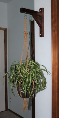 a potted plant hanging from a hook on the wall next to a door way