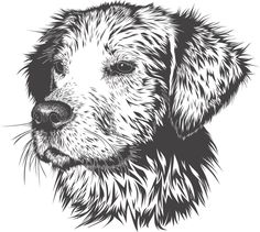 a black and white drawing of a dog's face