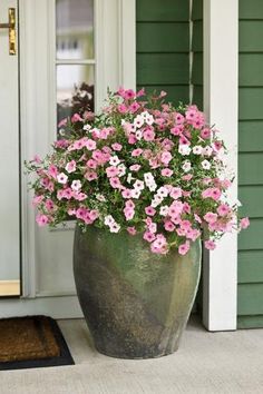 a potted plant with pink and white flowers in front of a green house door