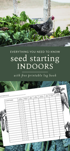 seed starting indoor plants with free printable log book for kids and grown up chickens