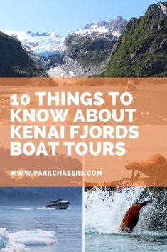 the words 10 things to know about kenai fjords boat tours