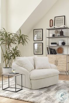 a living room filled with furniture and a potted plant on top of a rug