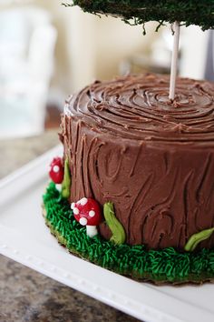 a birthday cake decorated with chocolate frosting and mushrooms