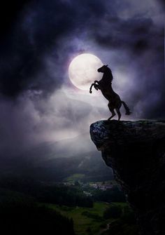 a horse that is standing on its hind legs in the air with a full moon behind it