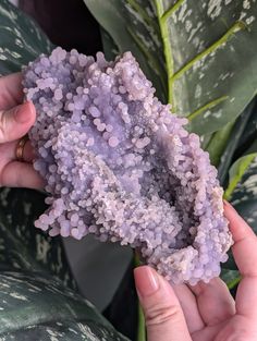 Discover the exquisite beauty and metaphysical benefits of our high-quality Grape Agate specimen, sourced from Indonesia. This exceptional piece weighs 797 grams and measures 7 inches in length, 2 inches in width, and 4 inches in height, showcasing its natural allure and potent energy properties. Key Features: Weight: 797g Dimensions: 7in x 2in x 4in Origin: Indonesia Properties: Promotes intuition, enhances stability, instills confidence Grape Agate captivates with its cluster of small, round f Grape Agate, Crystal Healer, Pretty Rocks, Cool Rocks, Rocks And Gems, Soothing Colors, Natural Minerals, Gems And Minerals, Line Patterns