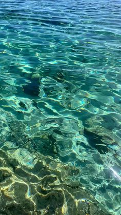 the water is crystal clear and blue