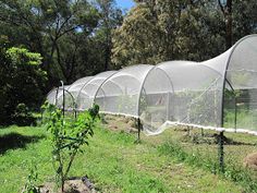 several greenhouses in the middle of a field with trees and bushes behind them, all covered by netting