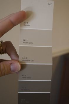 a person holding up some paint swatches in their left hand, with the other side showing