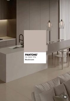 pantone's new color scheme for the kitchen and living room is neutral, but it doesn't look very clean