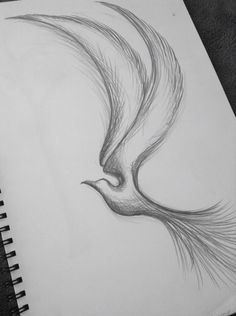 a pencil drawing of a bird flying in the air