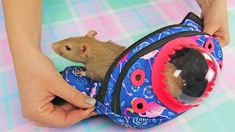 a person holding a small rodent in a blue and pink backpack on top of a table