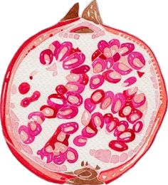 a pomegranate with pink and red designs on it