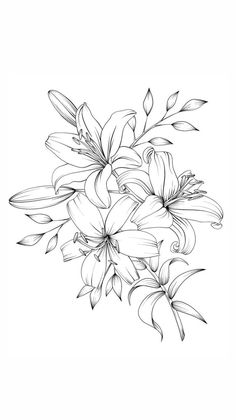 black and white drawing of lilies on a white background with space for your text