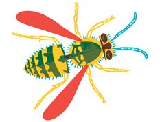 a drawing of a yellow and red insect