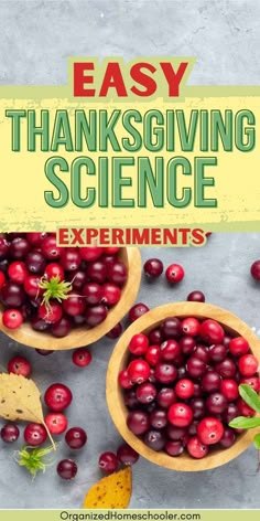 easy Thanksgiving sceince experiments written above two bowls of fresh cranberries Thanksgiving Stem Activities For Kids Easy, Harvest Science Preschool, November Stem Activities Kindergarten, Thanksgiving Science For Kids, Science Thanksgiving Activities, November Steam Activities For Kids, Thanksgiving Preschool Science, November Activity Ideas, Thanksgiving Fun For Kids Activities