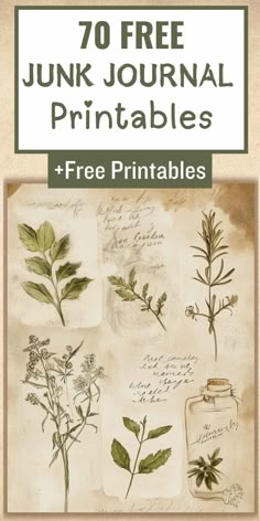 an old book with plants and herbs on it, the title reads 70 free junk journal printables + free printables