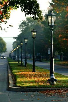 an empty street lined with lamp posts and autumn leaves on the grass in front of it