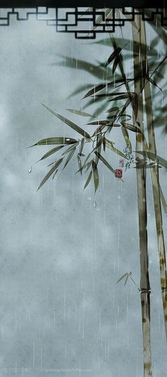 a bamboo tree in the rain under a cloudy sky