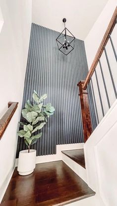 a potted plant sitting on top of a wooden table next to a stair case