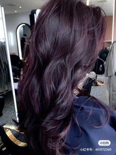 Dark Mauve Hair Color, Darkish Purple Hair, Black Cherry Plum Hair Color, Dark Color Ideas Hair, Dark Brown Hair Violet Undertones, Dark Plum Balayage Hair, Plum Dark Hair, Dark Colored Hair Ideas, Dark Violet Hair Brown Deep Purple