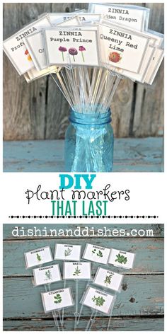 the diy plant markers that have been placed in a mason jar