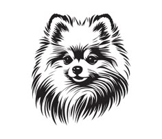 a dog's face is drawn in black and white, with long hair on it