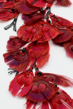 red feathers with black beads are arranged on a white surface