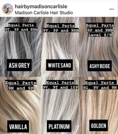 Redken Shades Ash Blonde Formula, Bleach Toner Blonde Hair, Redken Shades Eq Formulas 9aa, Redken Shades Eq 09p Opal Glow, Redken Ash Toner Formula, Champagne Blonde Redken Formulas, High And Low Lights Hair Grey, Paul Mitchell Demi Formulas, Platinum Redken Formula