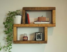 two wooden shelves with books, camera and other items on them next to a potted plant