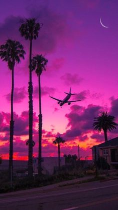 an airplane is flying over palm trees at sunset