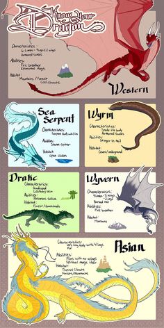 Dragon Infographic, Kay M Dragon Infographic, Types Of Dragons, Materi Bahasa Jepang, Kraf Kertas, Mythical Creatures Fantasy, Dragon Artwork Fantasy, Dragon Sketch, Mythical Animal, Book Writing Inspiration