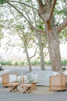 two chairs and a table in front of a tree