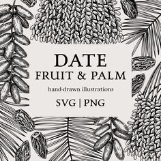 Date fruit & palm leaves sketches set. Available for personal and commercial use. Perfect for packaging, prints, posters, greeting cards, packaging, wrapping paper, wall decor, scrapbooking, and home decor. All our vector illustrations are original and unique. Elements are hand-drawn, scanned, and carefully converted into digital vector files (using trace operation). Each sketch is customizable and scalable to any size without losing sharpness and clarity. Our digital files are created in vector Leaves Sketch, Date Palm, Palm Garden, Plant Vector, Summer Clipart, Food Stickers, Tree Svg, Image Editing Software, Exotic Plants