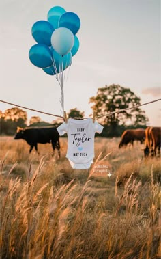 some blue and white balloons are hanging from a line in the middle of a field