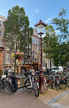 many bicycles are parked in front of a lamp post