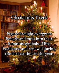 a christmas tree with lit candles in the center and a poem written below it that says, christmas trees pagan's brought evergreen boughs and trees into their homes as symbols of life