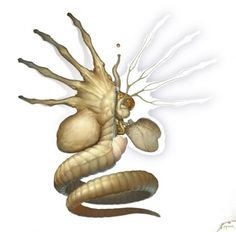 an illustration of a worm eating a snail's shell in the shape of a human head