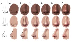 an image of different types of nose shapes