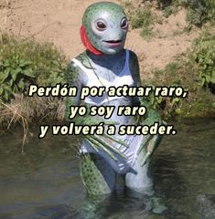 a statue in the water that says, perdon por atuar raro, yo soy para y volvera sueder