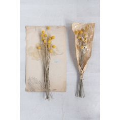 two pieces of paper with dried flowers on them