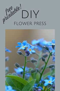 blue flowers with text that reads free printable diy flower press