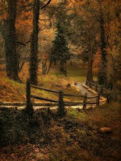 a wooden fence in the middle of a forest with trees and grass on both sides