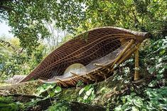 an unusual wooden structure in the woods