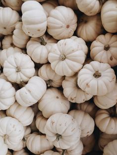 many white pumpkins are piled up together