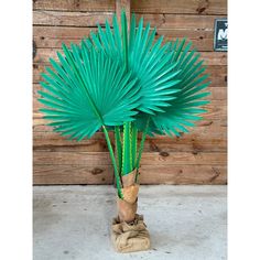 a green palm tree in a vase with burlock wrapped around it's branches