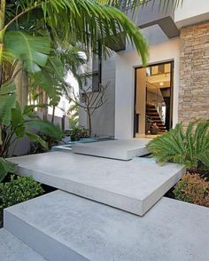 two concrete steps in front of a house with palm trees and plants around them on either side of the stairs